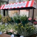 銀座でマーケティングを考える/芸術的なユニクロ TOKYO