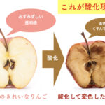 体の「サビ」で早く老ける人たち/アンチエイジング実践講座